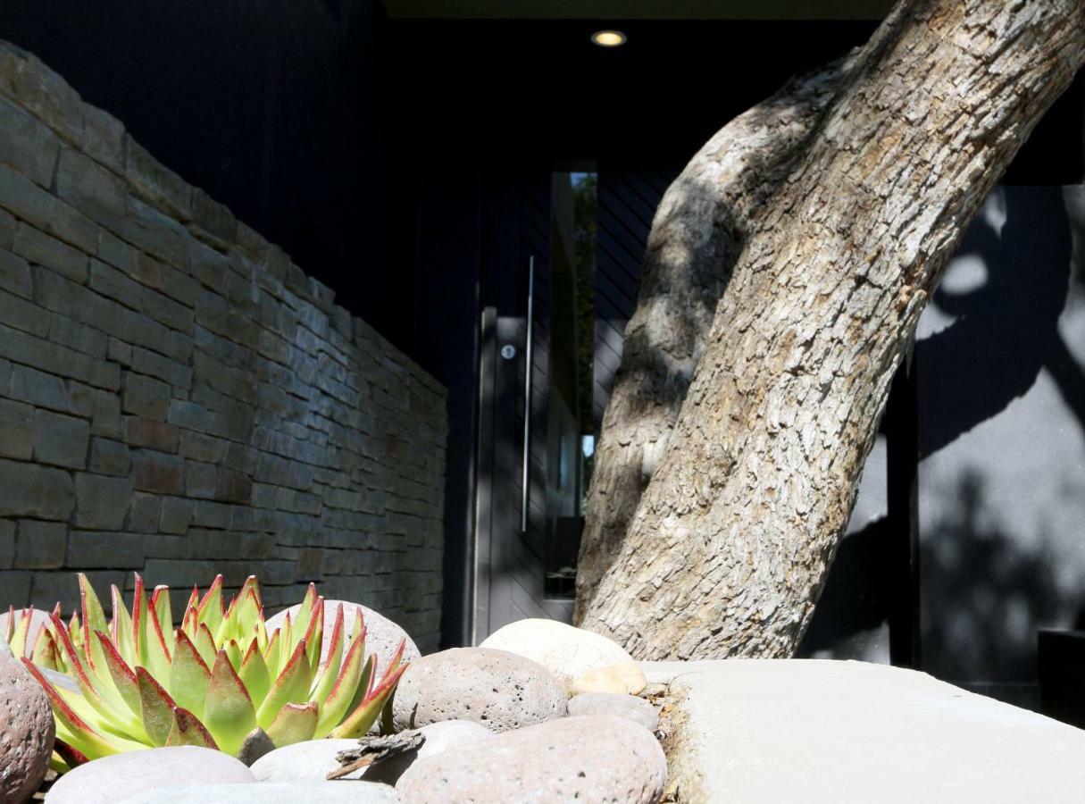 Herzinger Boutique Guesthouse Klein Windhoek Exteriör bild